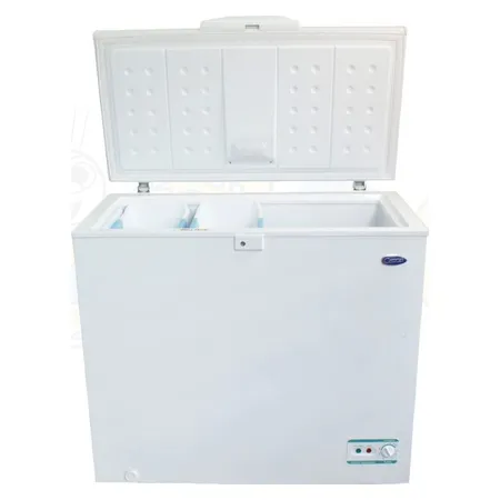 Freezer horizontal pequeño